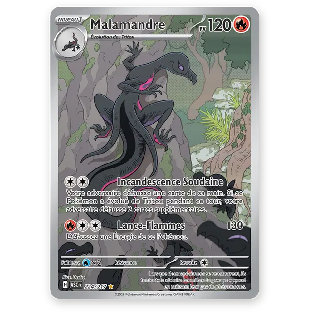 Malamandre AR 224 — Héros Transcendants