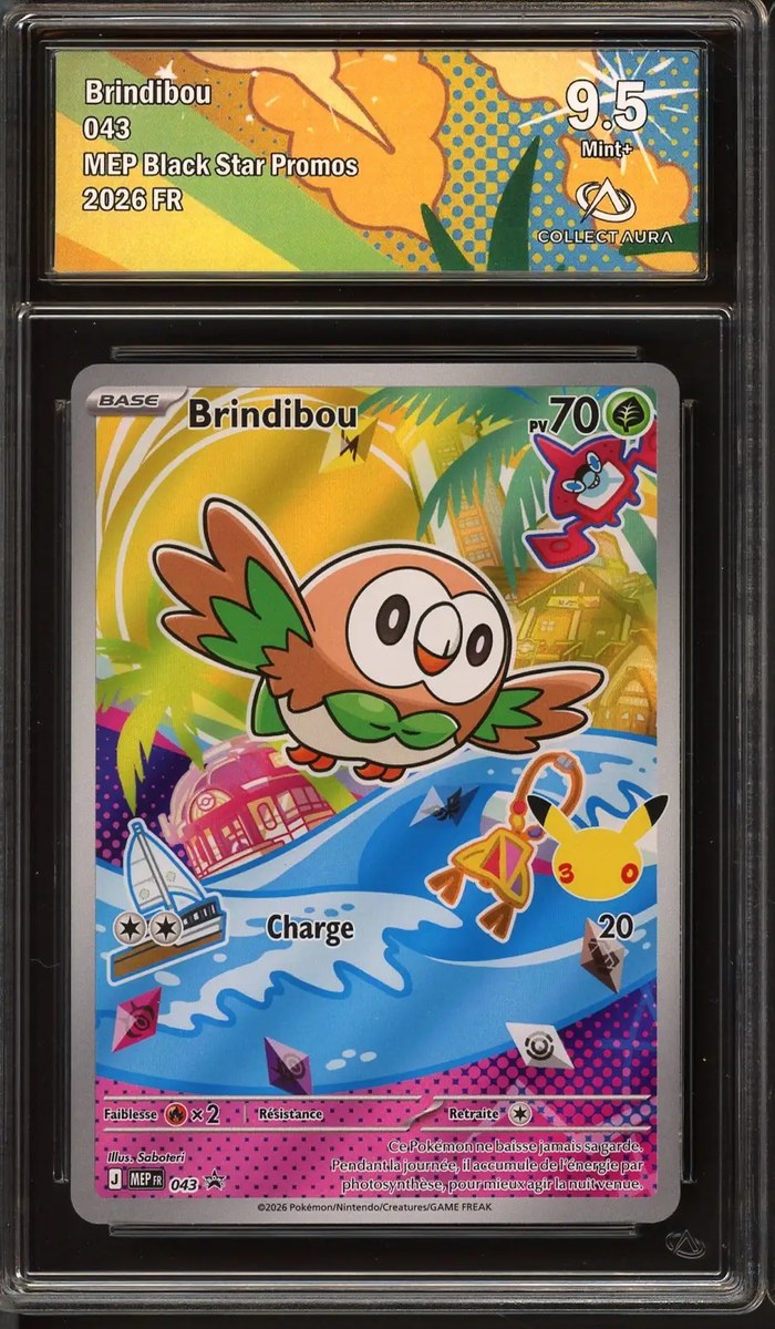 Collectaura 9,5 Brindibou — Coffret Premiers Partenaires (Française)